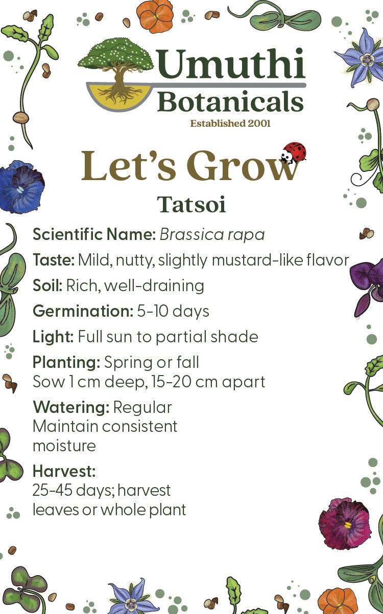 Tatsoi - 150 Seeds