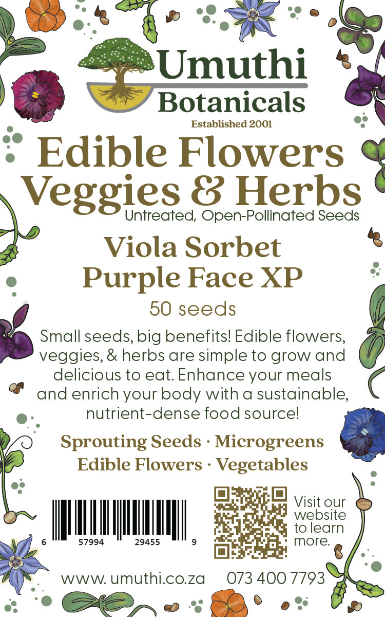 Viola Sorbet Purple Face XP - Edible Flowers - 50 Seeds