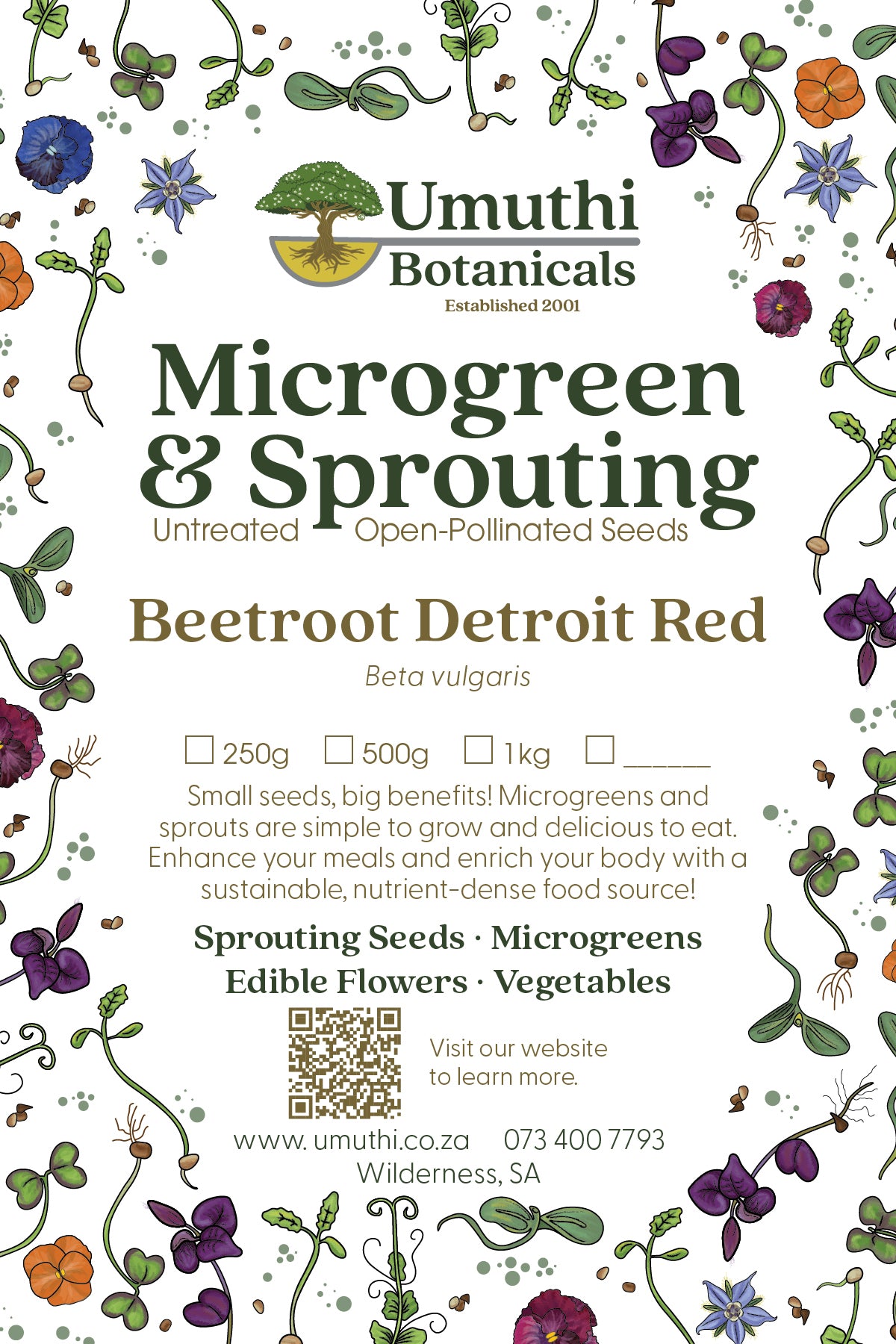 Beetroot Seed - Microgreen & Sprouting Seeds