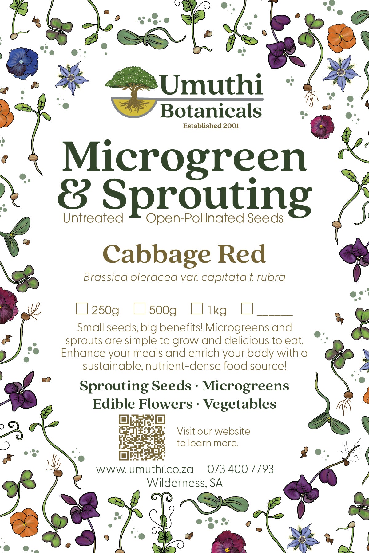 Cabbage Red Seed - Microgreen & Sprouting Seeds