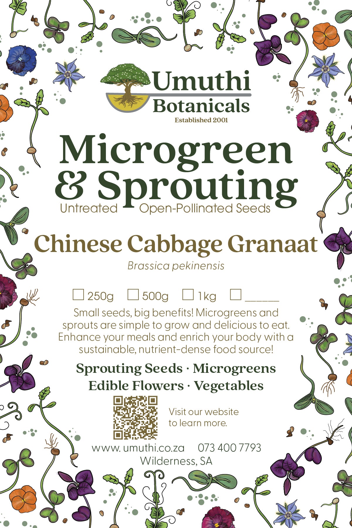 Chinese Cabbage Seed - Microgreen & Sprouting Seeds