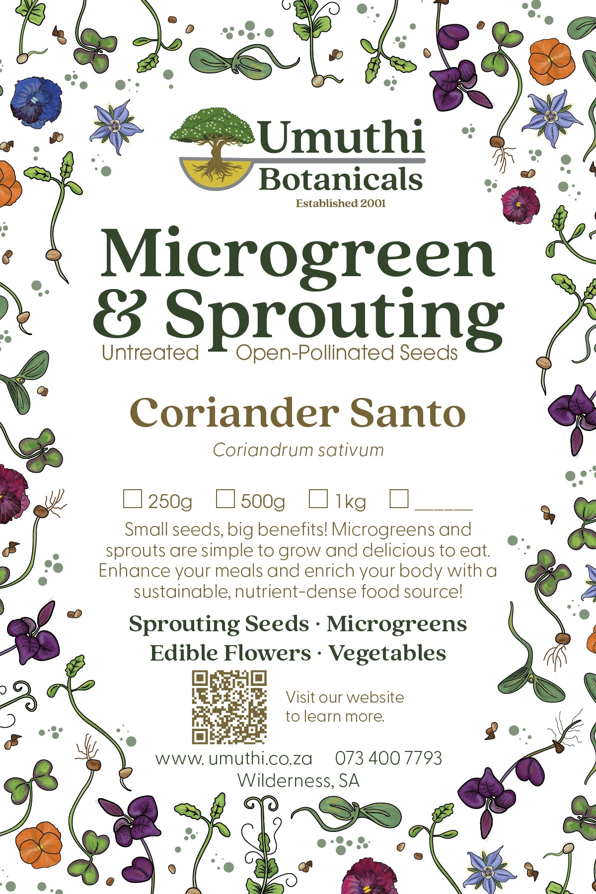 Coriander Seed - Microgreen & Sprouting Seeds