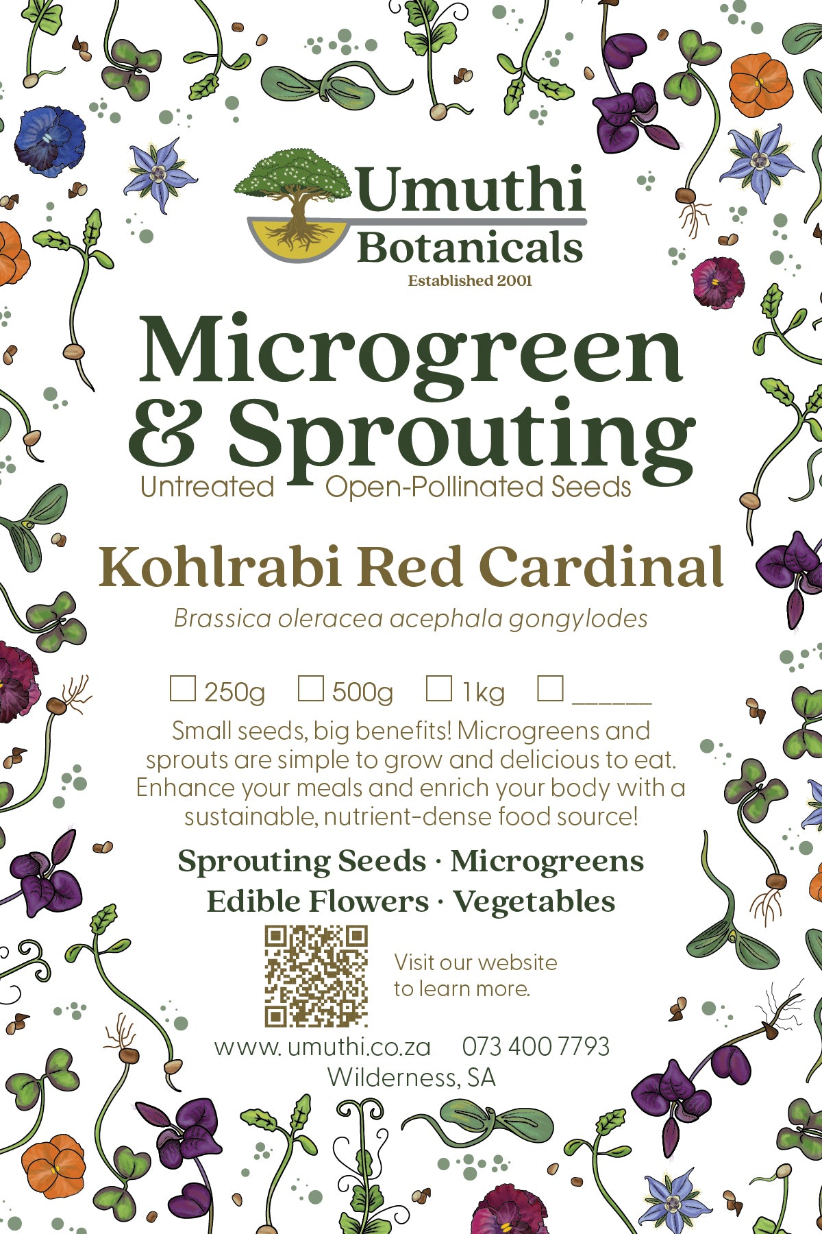Kohlrabi Red Cardinal Seed - Microgreen & Sprouting Seeds