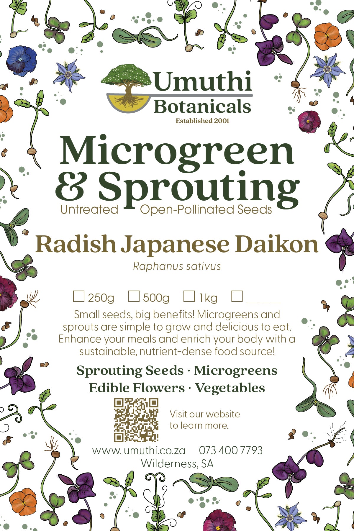 Radish Japanese Seed - Microgreen & Sprouting Seeds