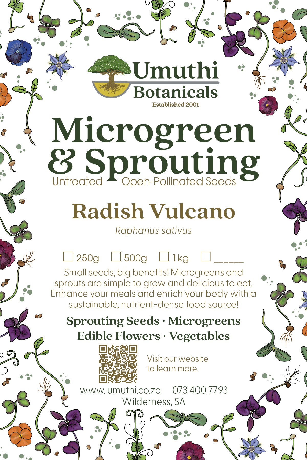 Radish Vulcano Seed - Microgreen & Sprouting Seeds