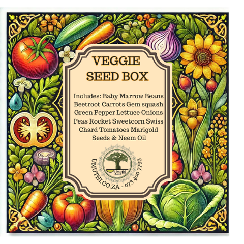 a Veggie Seed Starter Box - Untreated - non GMO -