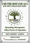 Baby Marrow - Squash Caserta -/ Zucchini - Approx 40 seeds - Raw Open Pollinated