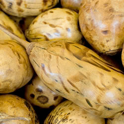 Baobab Pure - Carrier Oil