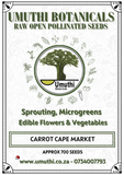 Carrot Cape Market - Approx 700 seeds - Raw Open Pollinated