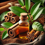 CINNAMON BARK OIL - cinnamomum zeylanicum - Standardized And 100%Conventional