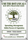 Onion Texas Grano - Approx 125 seeds - Raw Open Pollinated