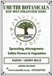 Radish Cherry Belle - Approx 180 seeds - Raw Open Pollinated