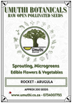 Rocket - Arugula - Approx 200 seeds - Raw Open Pollinated