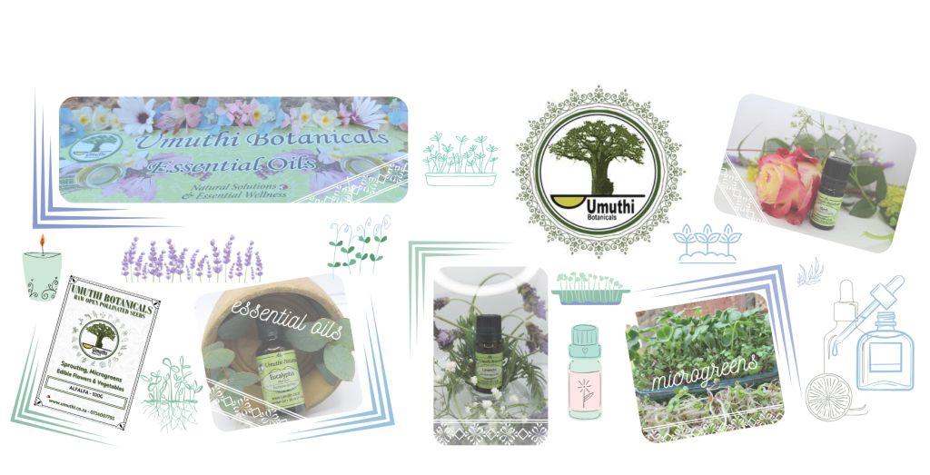 Essential Oils & Raw Open Pollinated Seeds South Africa – umuthi.co.za
