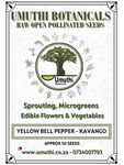 Yellow bell pepper- Capsicum Kavango - Approx 50 seeds - Raw Open Pollinated