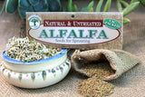 Alfalfa sprouting seeds Botanical name: Medicago Sativa