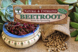 Beetroot seeds Botanical name: Beta Vulgaris