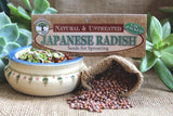Japanese radish seeds Botanical name: Raphanus Sativus