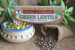 Lentils, green Botanical name: Lens (Culinaris)