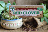 Red clover seeds Botanical name: Trifolium Pratense